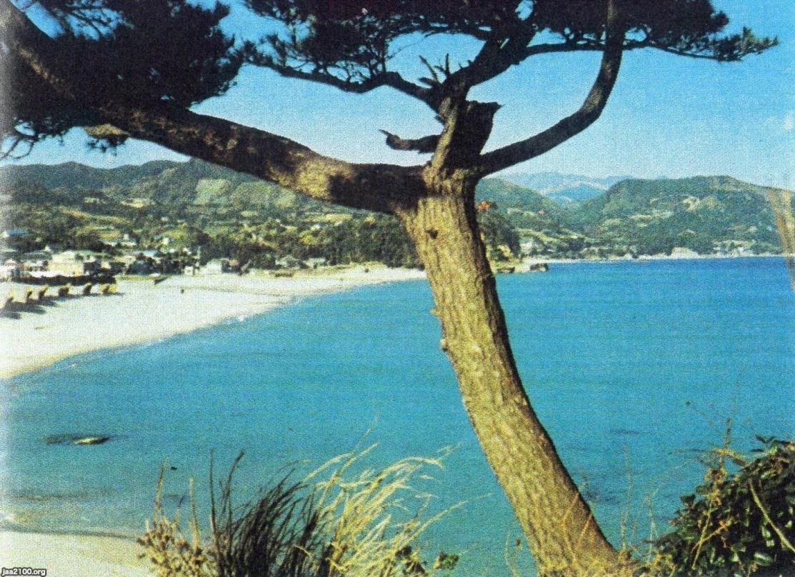 静岡県（昭和50年）▷伊豆・白浜海岸 | ジャパンアーカイブズ