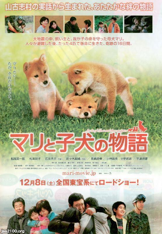 犬（平成19年） 映画「マリと子犬の物語」 ジャパンアーカイブズ Japan Archives
