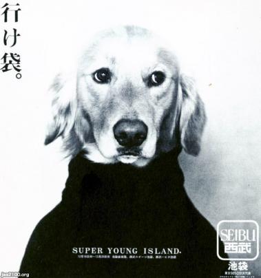 犬 平成14年 広告する犬 池袋西武 ジャパンアーカイブズ Japan Archives