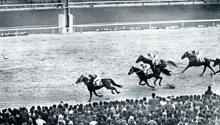 シンザン　昭和40年天皇賞 競馬パネル 日刊スポーツ 20160302120517-
