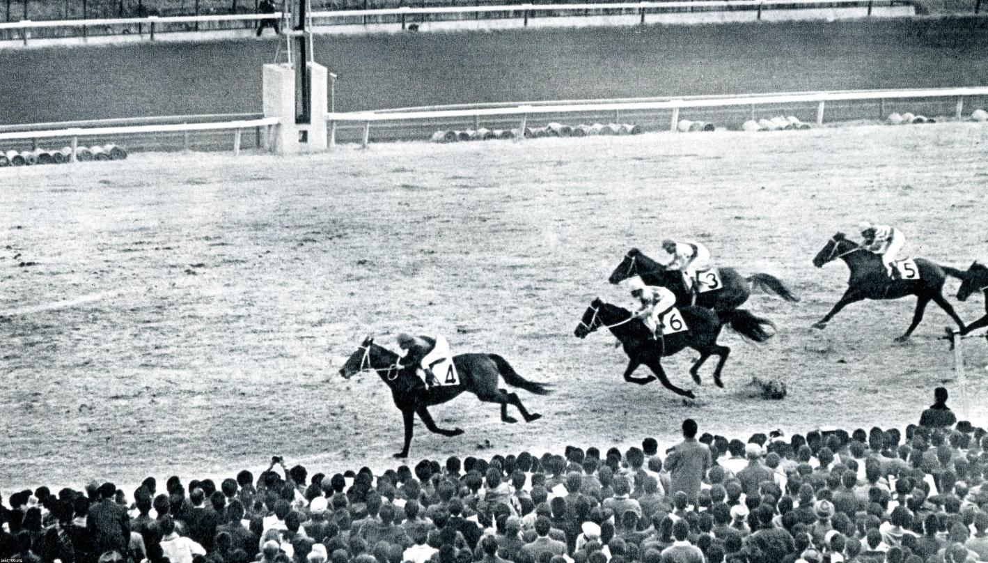 馬・競馬（昭和40年）▷シンザンの快走（ 天皇賞・有馬記念で史上初の五冠馬となった） | ジャパンアーカイブズ - Japan Archives