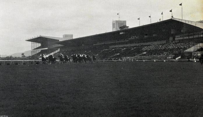 馬・競馬（昭和50年）▷京都競馬場（淀競馬場） | ジャパン