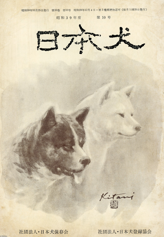 犬（昭和39年）▷「日本犬」（日本犬保存会・日本犬登録協会