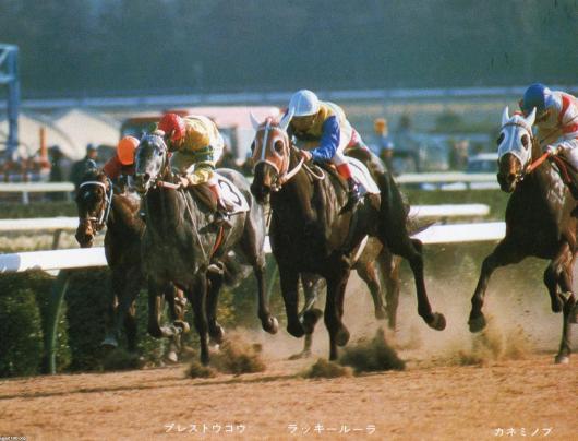 馬・競馬（昭和52年）▷弥生賞の優勝馬・ラッキールーラ | ジャパン