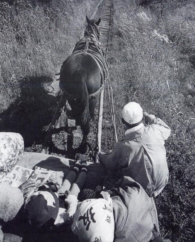 鉄製の馬 兵庫県市川町 兵庫県市川町 銀の馬車道 馬車モニュメント「ハヤブ」