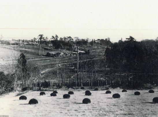 代々木（大正年間）▷童謡「春の小川」（河骨川） | ジャパン