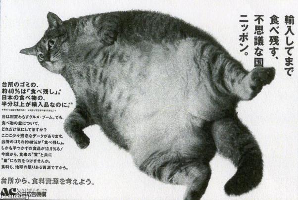 平成6年 広告の太った猫 ａｃ ジャパンアーカイブズ Japan Archives