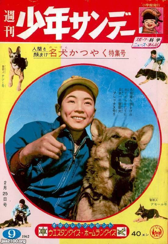 犬（昭和37年）▷犬と少年〜「週刊少年サンデー」 | ジャパン