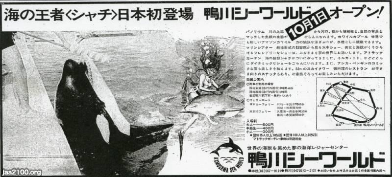 水族館 昭和45年 鴨川シーワールド 千葉県鴨川 のオープン ジャパンアーカイブズ Japan Archives