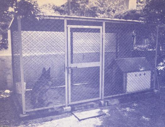 昭和 おまけ 犬小屋 動きだす