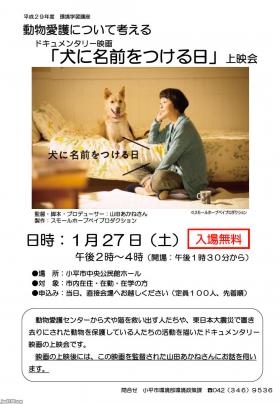 犬 平成27年 ドキュメンタリー映画 犬に名前をつける日 ジャパンアーカイブズ Japan Archives