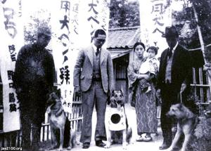 犬 昭和12年 モロゾフの広告 ジャパンアーカイブズ Japan Archives
