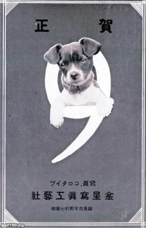 犬 昭和10年 テリア モロゾフ ジャパンアーカイブズ Japan Archives