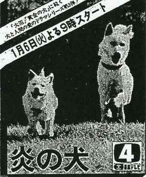 犬（昭和56年）▷「犬、わが友 ムツゴロウのアルバム2」（畑正憲・著） | ジャパンアーカイブズ - Japan Archives
