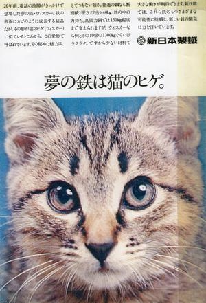 猫 昭和56年 写真集 なめ猫 の大ブレイク ジャパンアーカイブズ Japan Archives